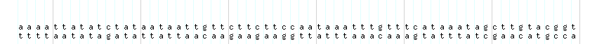 DNA/GC_Content detail