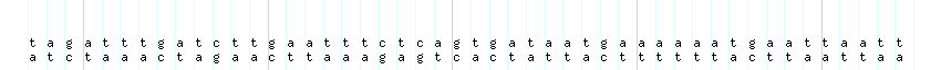 DNA/GC_Content detail