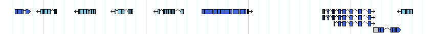 genes detail