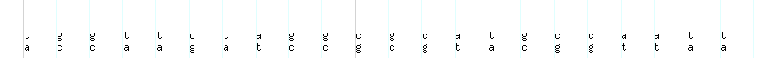 DNA/GC_Content detail