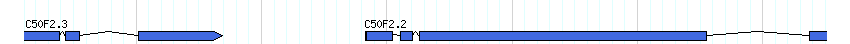 genes detail