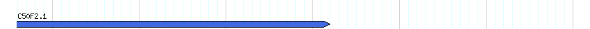 genes detail