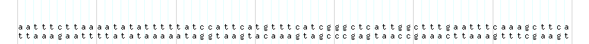 DNA/GC_Content detail