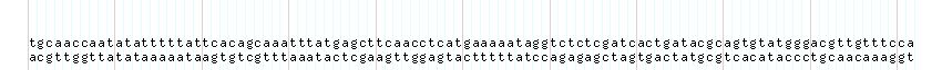 DNA/GC_Content detail