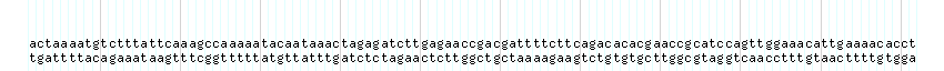 DNA/GC_Content detail