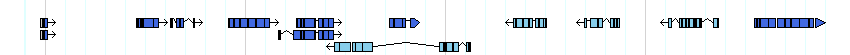 genes detail