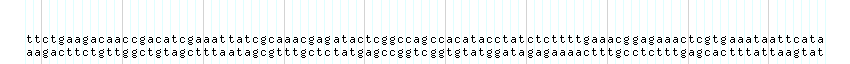 DNA/GC_Content detail