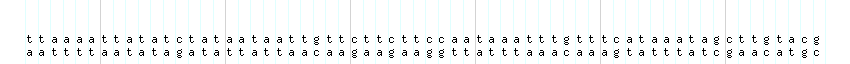DNA/GC_Content detail