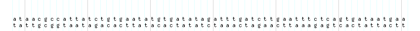 DNA/GC_Content detail