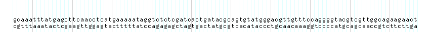DNA/GC_Content detail