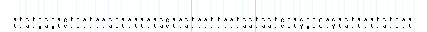 DNA/GC_Content detail