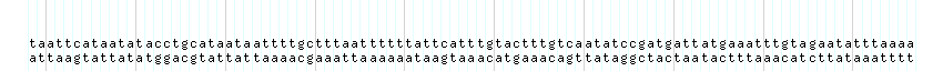 DNA/GC_Content detail
