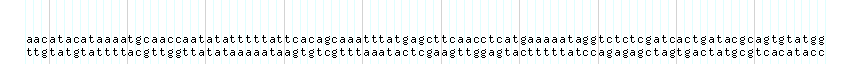 DNA/GC_Content detail
