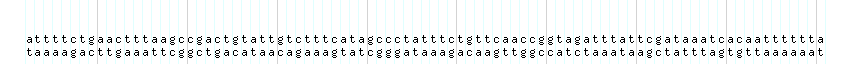 DNA/GC_Content detail
