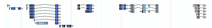 genes detail