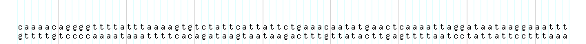 DNA/GC_Content detail