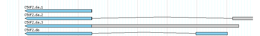 genes detail