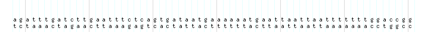 DNA/GC_Content detail