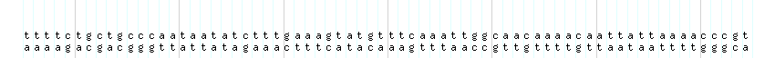 DNA/GC_Content detail