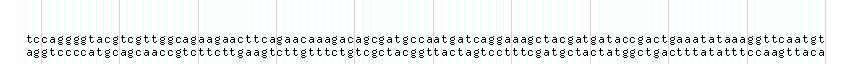 DNA/GC_Content detail