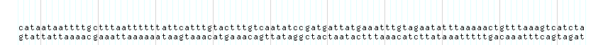 DNA/GC_Content detail