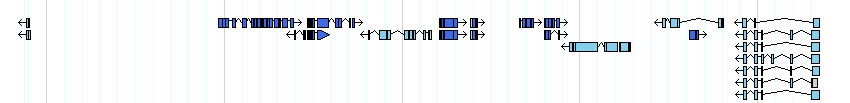 genes detail