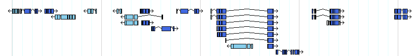 genes detail