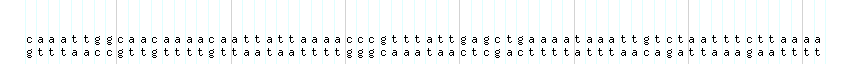 DNA/GC_Content detail