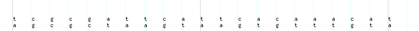 DNA/GC_Content detail