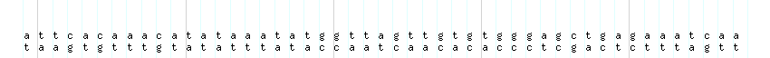 DNA/GC_Content detail