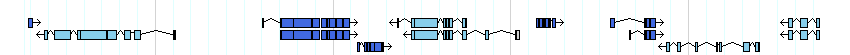 genes detail