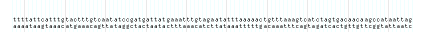 DNA/GC_Content detail