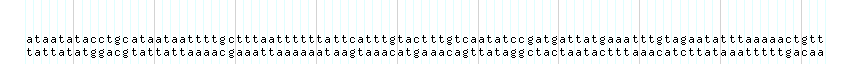 DNA/GC_Content detail