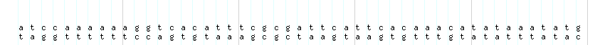 DNA/GC_Content detail