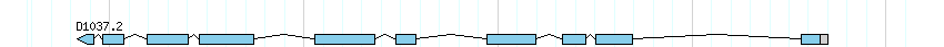 genes detail