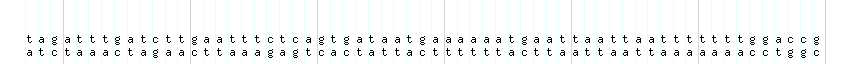 DNA/GC_Content detail