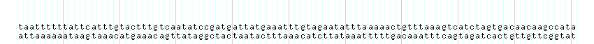 DNA/GC_Content detail
