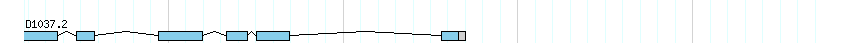 genes detail