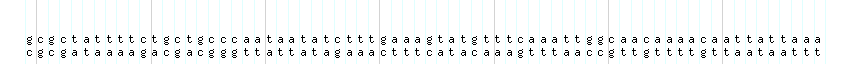 DNA/GC_Content detail