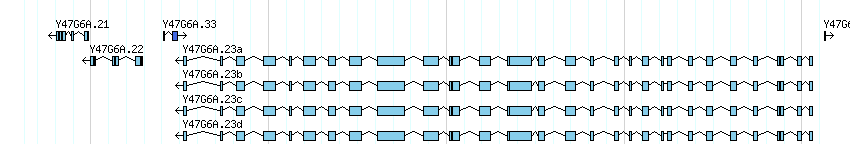 genes detail