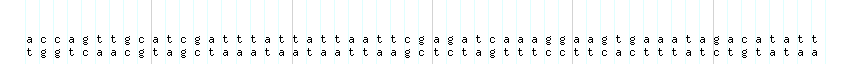 DNA/GC_Content detail