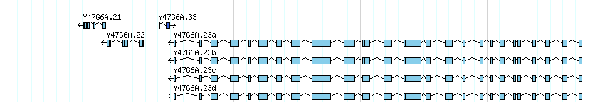 genes detail