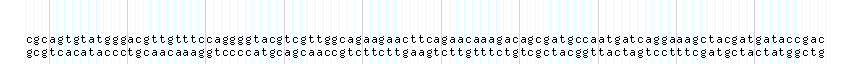 DNA/GC_Content detail