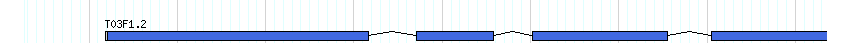 genes detail