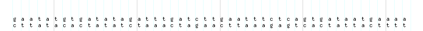 DNA/GC_Content detail