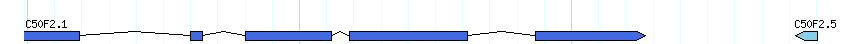 genes detail