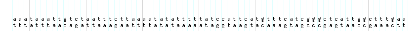 DNA/GC_Content detail