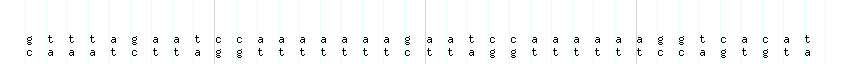 DNA/GC_Content detail