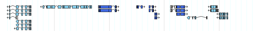 genes detail