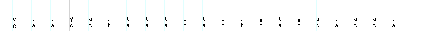 DNA/GC_Content detail